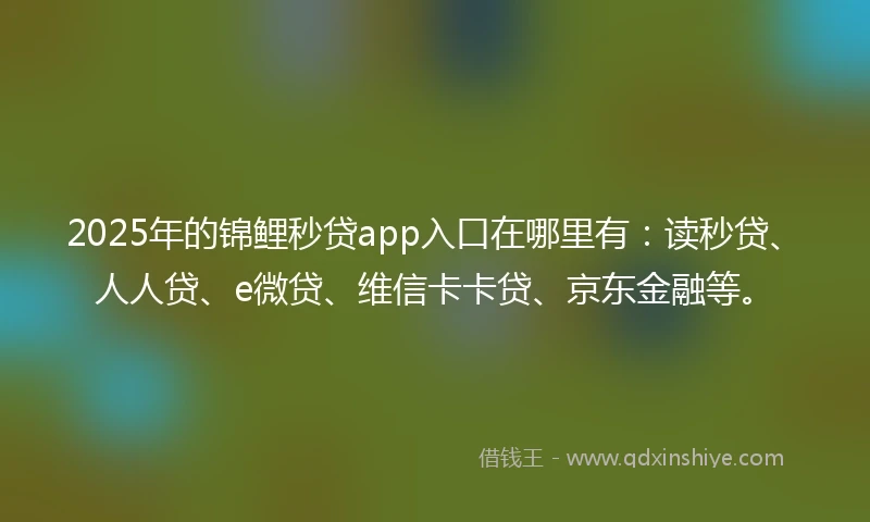 2025年的锦鲤秒贷app入口在哪里有：读秒贷、人人贷、e微贷、维信卡卡贷、京东金融等。
