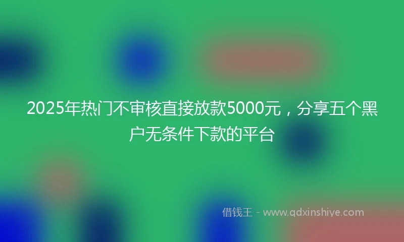 2025年热门不审核直接放款5000元，分享五个黑户无条件下款的平台
