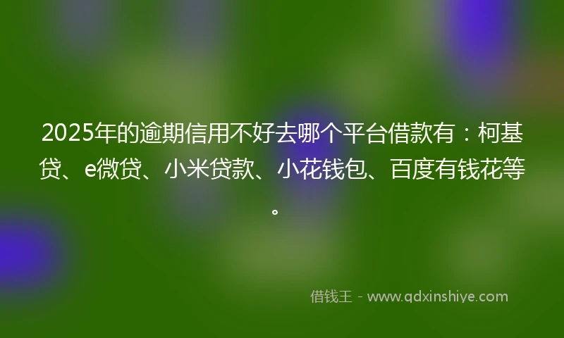 2025年的逾期信用不好去哪个平台借款有:柯基贷、e微贷、小米贷款、小花钱包、百度有钱花等。