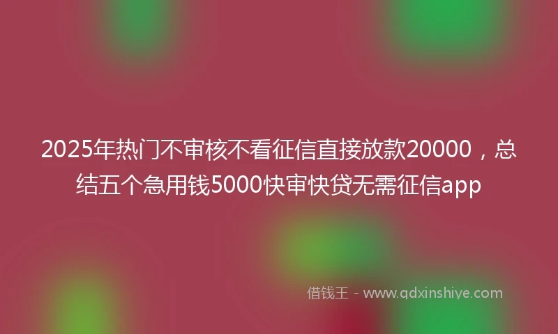 2025年热门不审核不看征信直接放款20000，总结五个急用钱5000快审快贷无需征信app