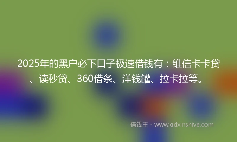 2025年的黑户必下口子极速借钱有:维信卡卡贷、读秒贷、360借条、洋钱罐、拉卡拉等。