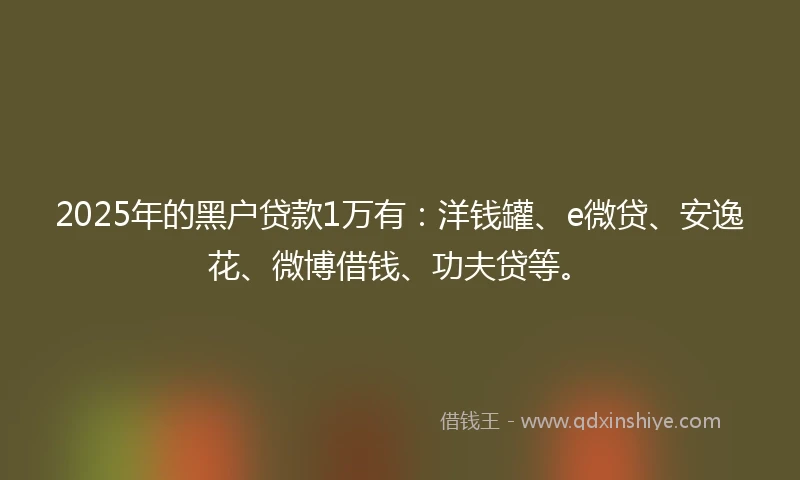 2025年的黑户贷款1万有：洋钱罐、e微贷、安逸花、微博借钱、功夫贷等。