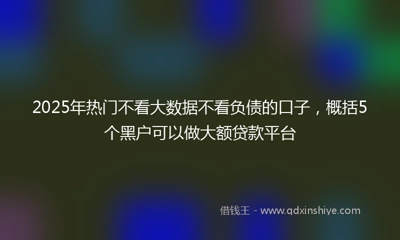 2025年热门不看大数据不看负债的口子，概括5个黑户可以做大额贷款平台