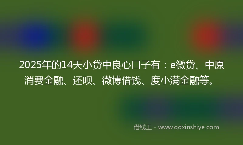 2025年的14天小贷中良心口子有：e微贷、中原消费金融、还呗、微博借钱、度小满金融等。