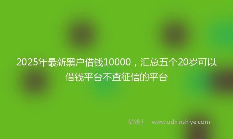 2025年最新黑户借钱10000，汇总五个20岁可以借钱平台不查征信的平台