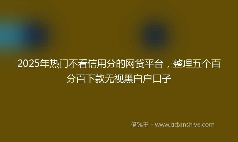 2025年热门不看信用分的网贷平台,整理五个百分百下款无视黑白户口子