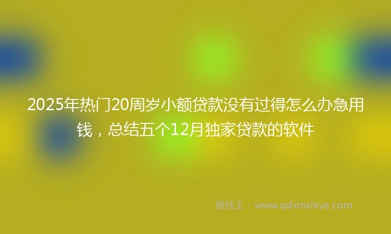 2025年热门20周岁小额贷款没有过得怎么办急用钱，总结五个12月独家贷款的软件