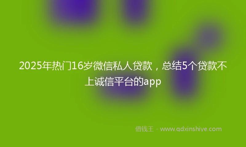 2025年热门16岁微信私人贷款，总结5个贷款不上诚信平台的app