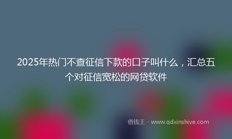 2025年热门不查征信下款的口子叫什么,汇总五个对征信宽松的网贷软件