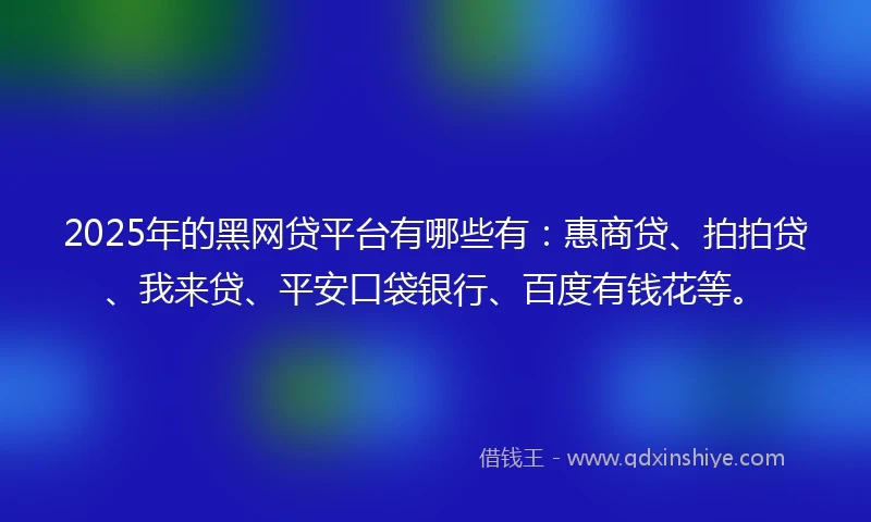 2025年的黑网贷平台有哪些有：惠商贷、拍拍贷、我来贷、平安口袋银行、百度有钱花等。