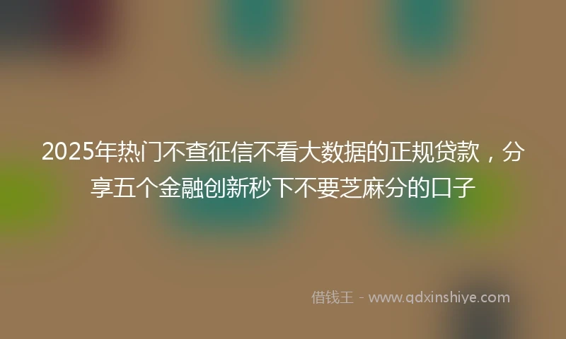 2025年热门不查征信不看大数据的正规贷款，分享五个金融创新秒下不要芝麻分的口子