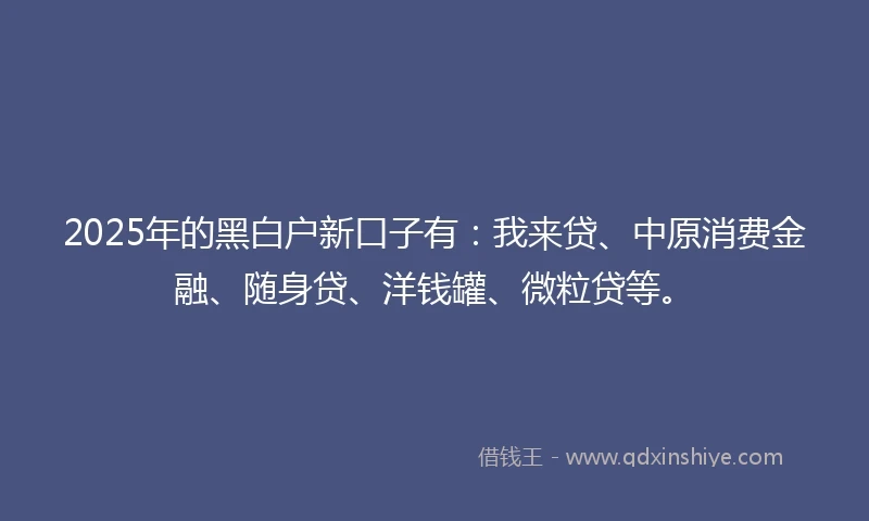 2025年的黑白户新口子有：我来贷、中原消费金融、随身贷、洋钱罐、微粒贷等。