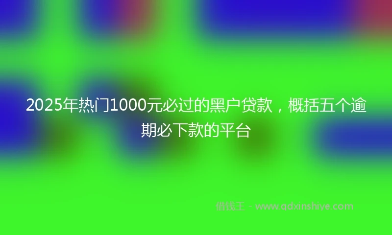 2025年热门1000元必过的黑户贷款，概括五个逾期必下款的平台