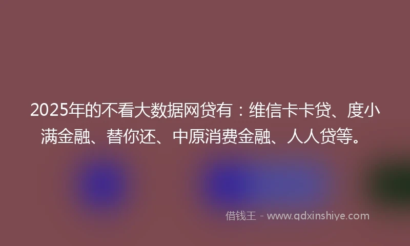 2025年的不看大数据网贷有：维信卡卡贷、度小满金融、替你还、中原消费金融、人人贷等。