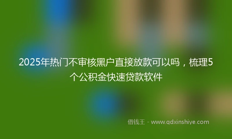2025年热门不审核黑户直接放款可以吗，梳理5个公积金快速贷款软件