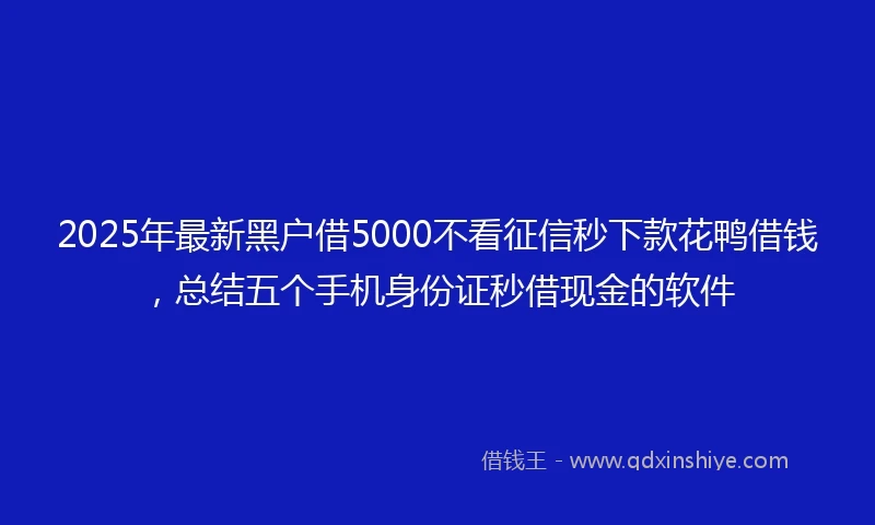 2025年最新黑户借5000不看征信秒下款花鸭借钱，总结五个手机身份证秒借现金的软件