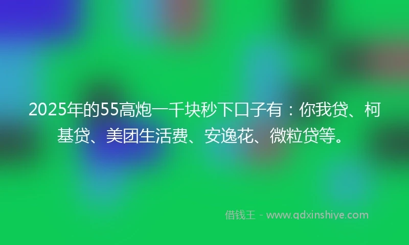 2025年的55高炮一千块秒下口子有：你我贷、柯基贷、美团生活费、安逸花、微粒贷等。