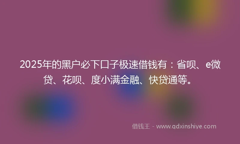 2025年的黑户必下口子极速借钱有：省呗、e微贷、花呗、度小满金融、快贷通等。