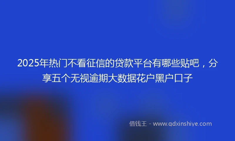 2025年热门不看征信的贷款平台有哪些贴吧,分享五个无视逾期大数据花户黑户口子