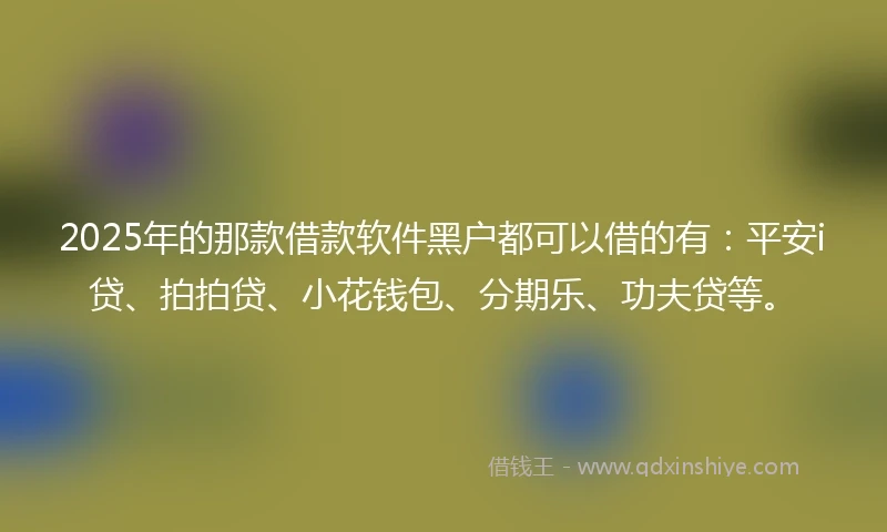 2025年的那款借款软件黑户都可以借的有：平安i贷、拍拍贷、小花钱包、分期乐、功夫贷等。