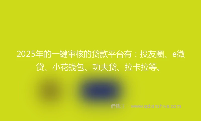 2025年的一键审核的贷款平台有：投友圈、e微贷、小花钱包、功夫贷、拉卡拉等。