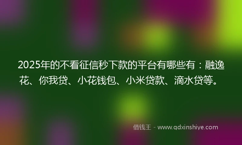 2025年的不看征信秒下款的平台有哪些有：融逸花、你我贷、小花钱包、小米贷款、滴水贷等。