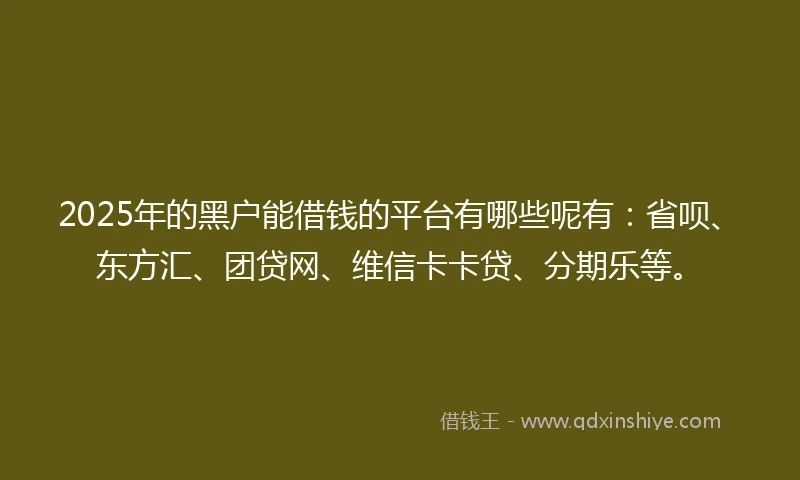 2025年的黑户能借钱的平台有哪些呢有：省呗、东方汇、团贷网、维信卡卡贷、分期乐等。