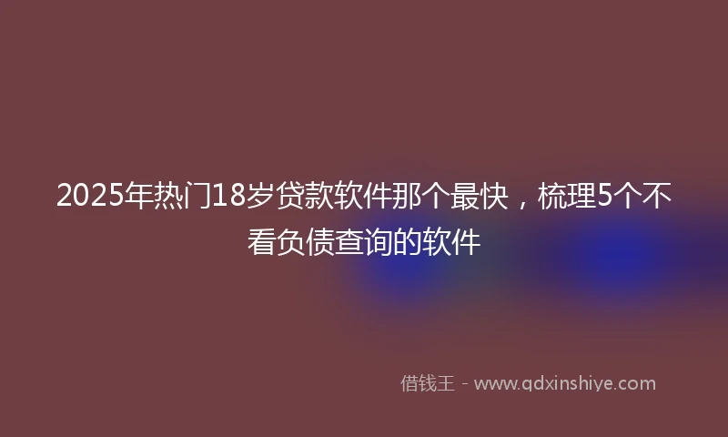 2025年热门18岁贷款软件那个最快,梳理5个不看负债查询的软件