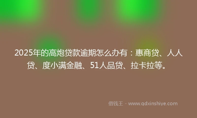 2025年的高炮贷款逾期怎么办有：惠商贷、人人贷、度小满金融、51人品贷、拉卡拉等。