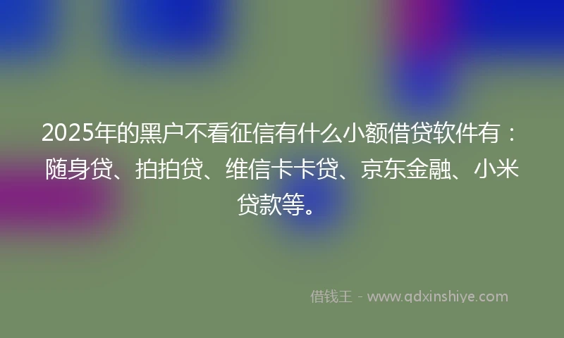 2025年的黑户不看征信有什么小额借贷软件有：随身贷、拍拍贷、维信卡卡贷、京东金融、小米贷款等。