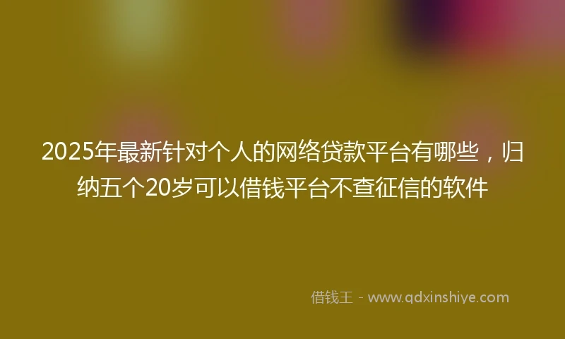 2025年最新针对个人的网络贷款平台有哪些，归纳五个20岁可以借钱平台不查征信的软件