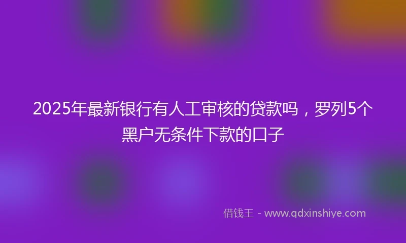 2025年最新银行有人工审核的贷款吗，罗列5个黑户无条件下款的口子