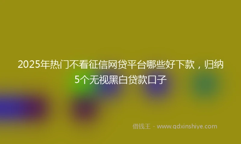 2025年热门不看征信网贷平台哪些好下款，归纳5个无视黑白贷款口子
