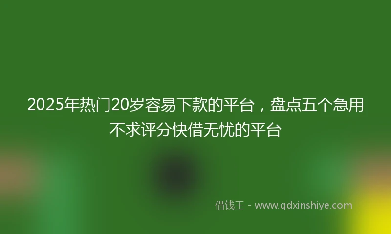 2025年热门20岁容易下款的平台，盘点五个急用不求评分快借无忧的平台
