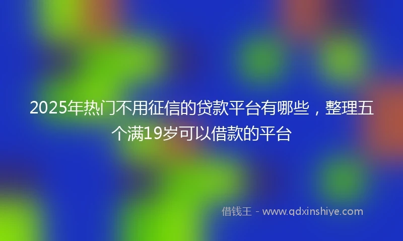 2025年热门不用征信的贷款平台有哪些，整理五个满19岁可以借款的平台