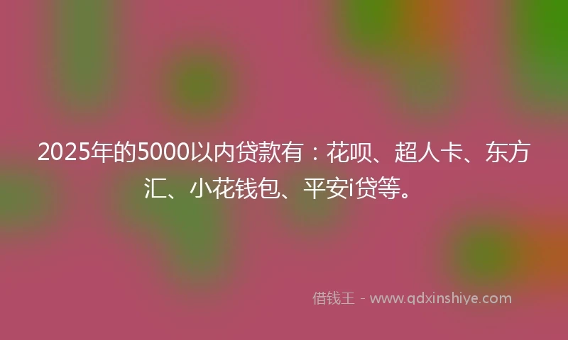 2025年的5000以内贷款有：花呗、超人卡、东方汇、小花钱包、平安i贷等。