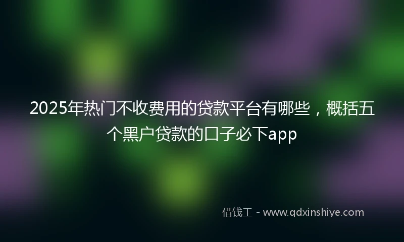 2025年热门不收费用的贷款平台有哪些，概括五个黑户贷款的口子必下app