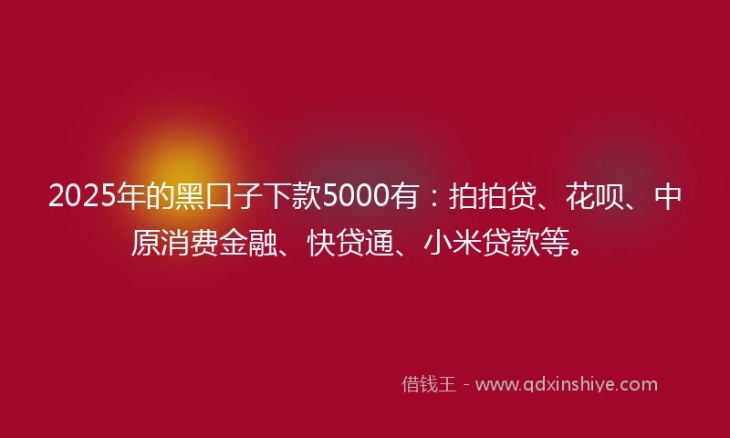 2025年的黑口子下款5000有：拍拍贷、花呗、中原消费金融、快贷通、小米贷款等。