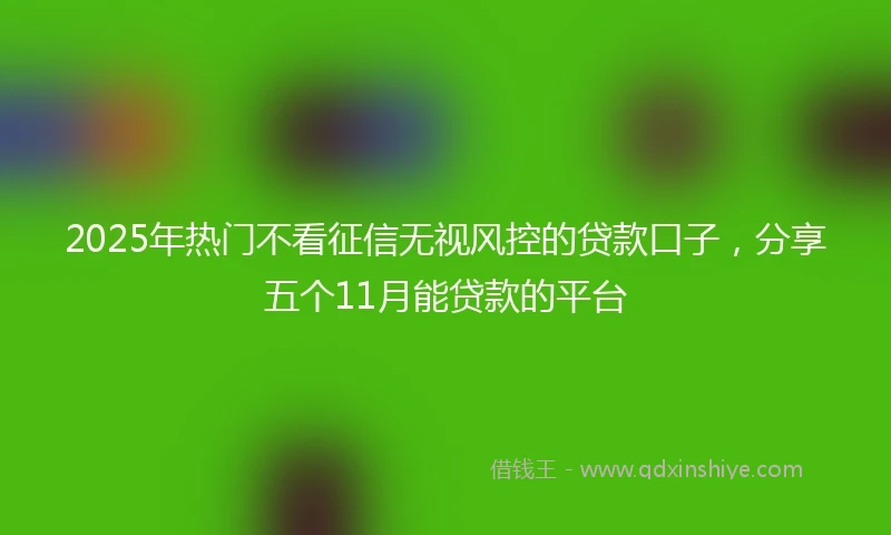 2025年热门不看征信无视风控的贷款口子，分享五个11月能贷款的平台