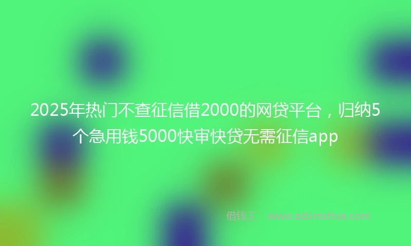 2025年热门不查征信借2000的网贷平台，归纳5个急用钱5000快审快贷无需征信app