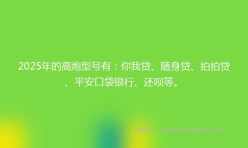 2025年的高炮型号有：你我贷、随身贷、拍拍贷、平安口袋银行、还呗等。