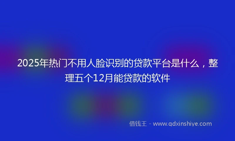 2025年热门不用人脸识别的贷款平台是什么，整理五个12月能贷款的软件