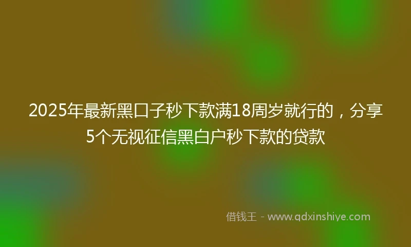 2025年最新黑口子秒下款满18周岁就行的，分享5个无视征信黑白户秒下款的贷款