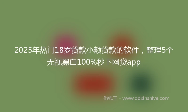 2025年热门18岁贷款小额贷款的软件，整理5个无视黑白100%秒下网贷app
