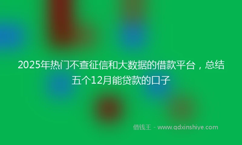 2025年热门不查征信和大数据的借款平台，总结五个12月能贷款的口子