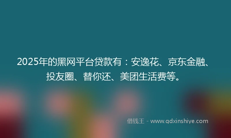 2025年的黑网平台贷款有：安逸花、京东金融、投友圈、替你还、美团生活费等。