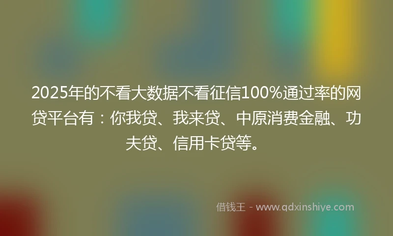 2025年的不看大数据不看征信100%通过率的网贷平台有：你我贷、我来贷、中原消费金融、功夫贷、信用卡贷等。