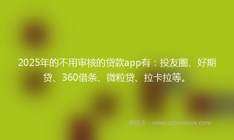 2025年的不用审核的贷款app有：投友圈、好期贷、360借条、微粒贷、拉卡拉等。