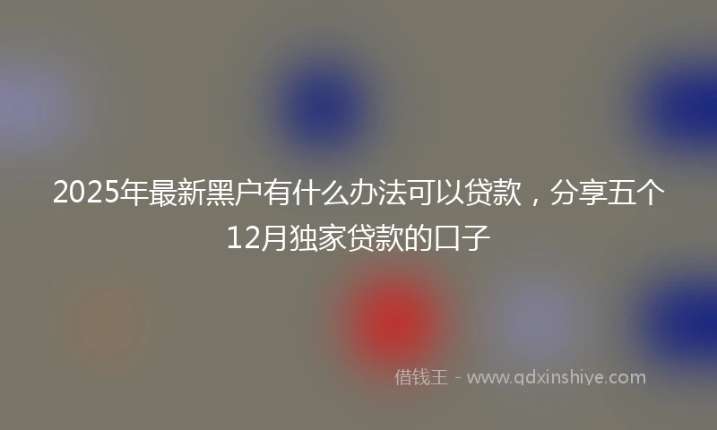 2025年最新黑户有什么办法可以贷款，分享五个12月独家贷款的口子