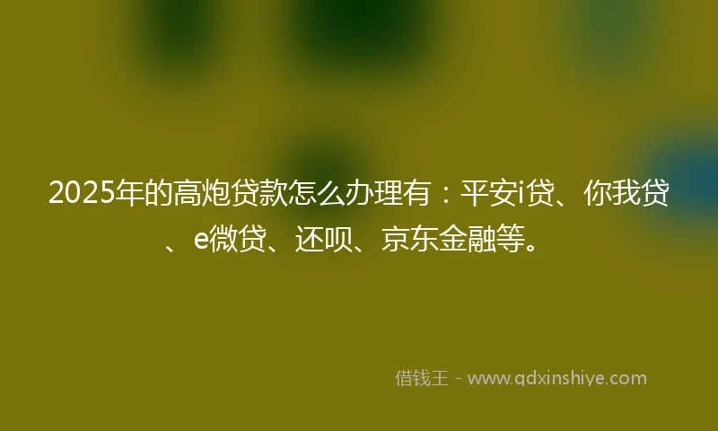 2025年的高炮贷款怎么办理有:平安i贷、你我贷、e微贷、还呗、京东金融等。